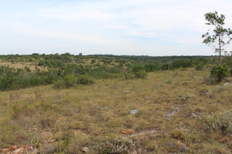 0 Bedroom Property for Sale in Bathurst Eastern Cape